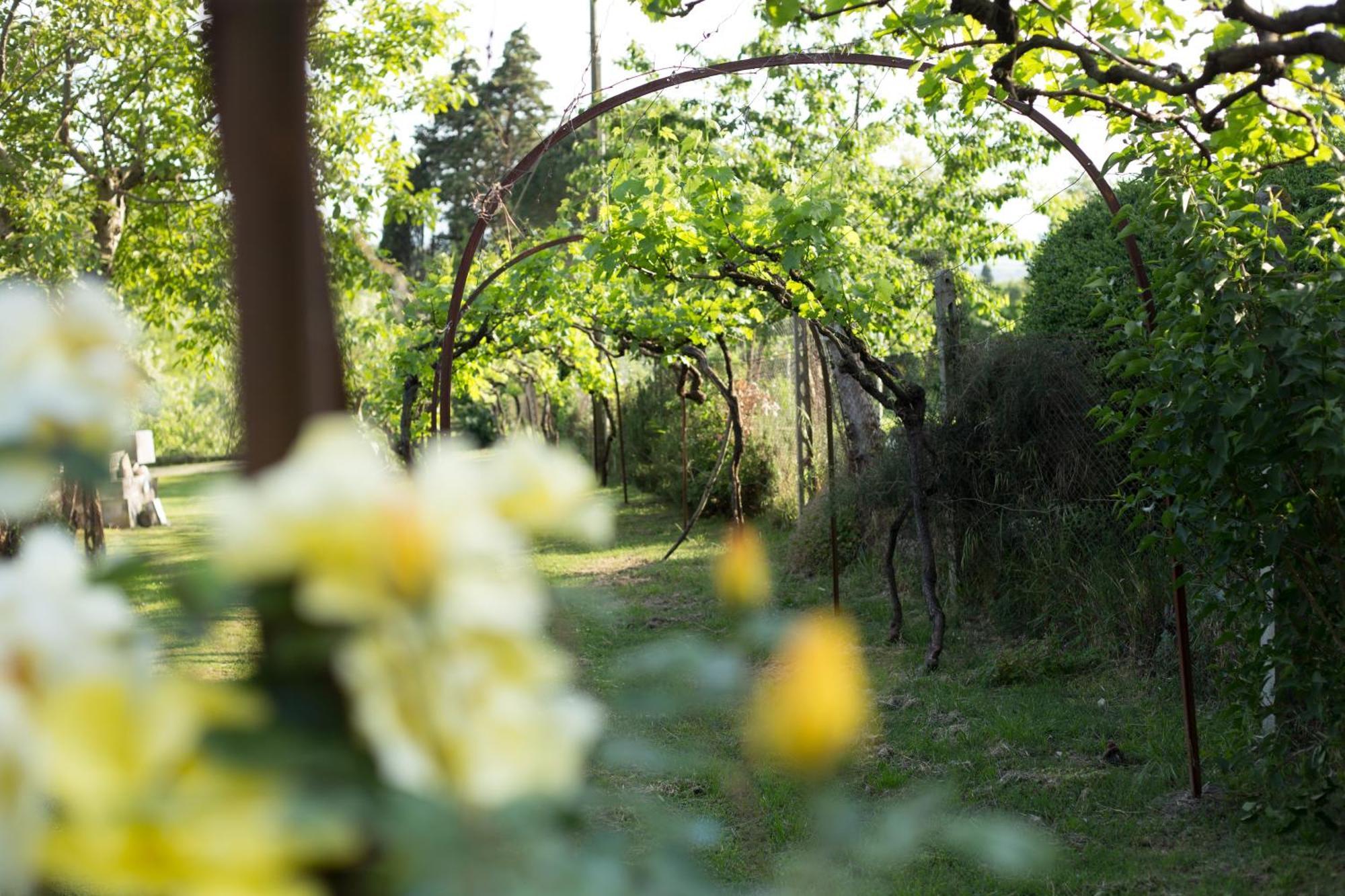 Villa Campo Di Fiore Arezzo Exterior foto